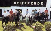 reiten1