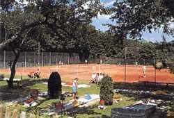 tennis1.jpg (30036 Byte)